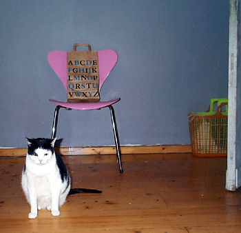 Katze; Papiertüte und Einkaufstasche in der Ecke